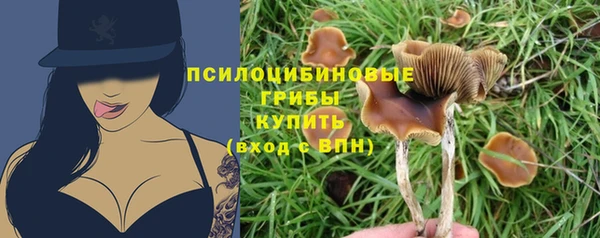 молекула духа Зеленокумск