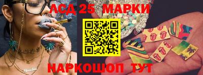 крисы Будённовск