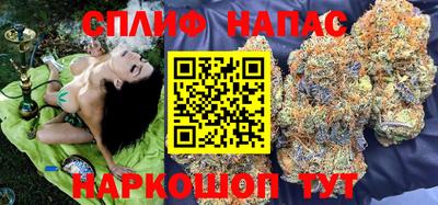 крисы Будённовск