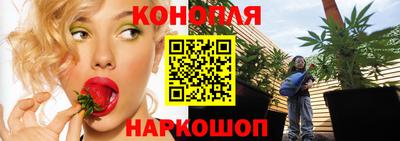 крисы Будённовск