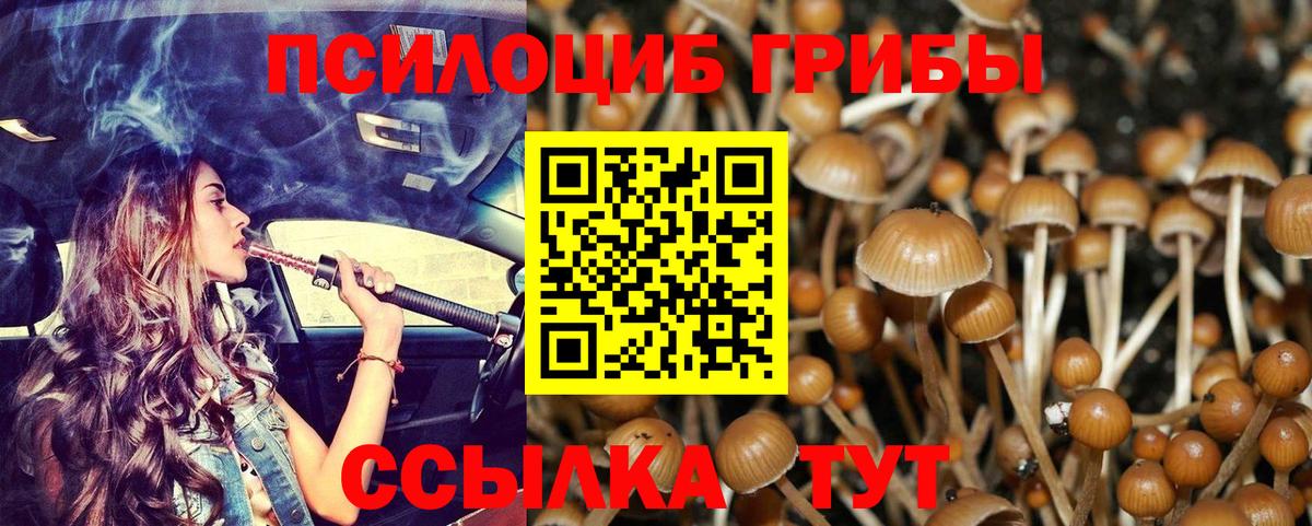 Киров  Галлюциногенные грибы Cubensis  где купить   Вход с VPN 