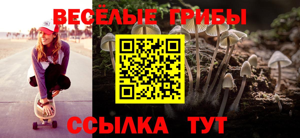 Псилоцибиновые грибы Cubensis Киров