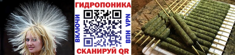Канабис конопля  где купить наркоту  Киров 